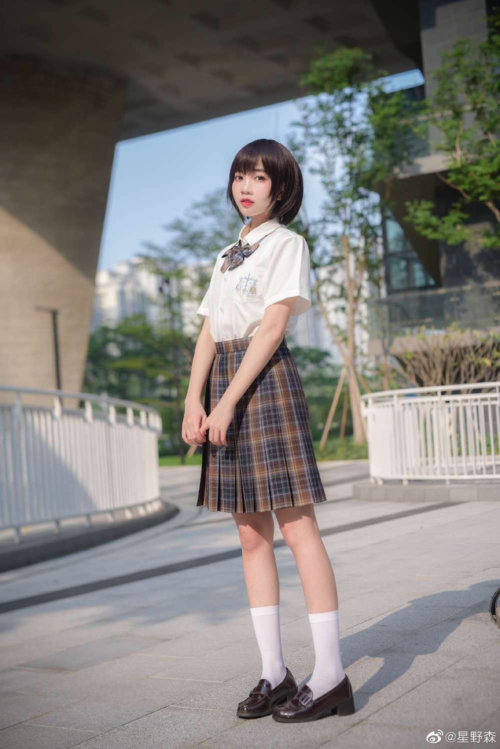 6a61a33802896.jpg