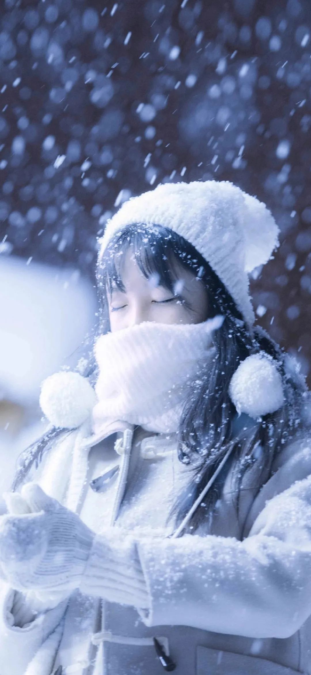 6a61a358618cd.jpg