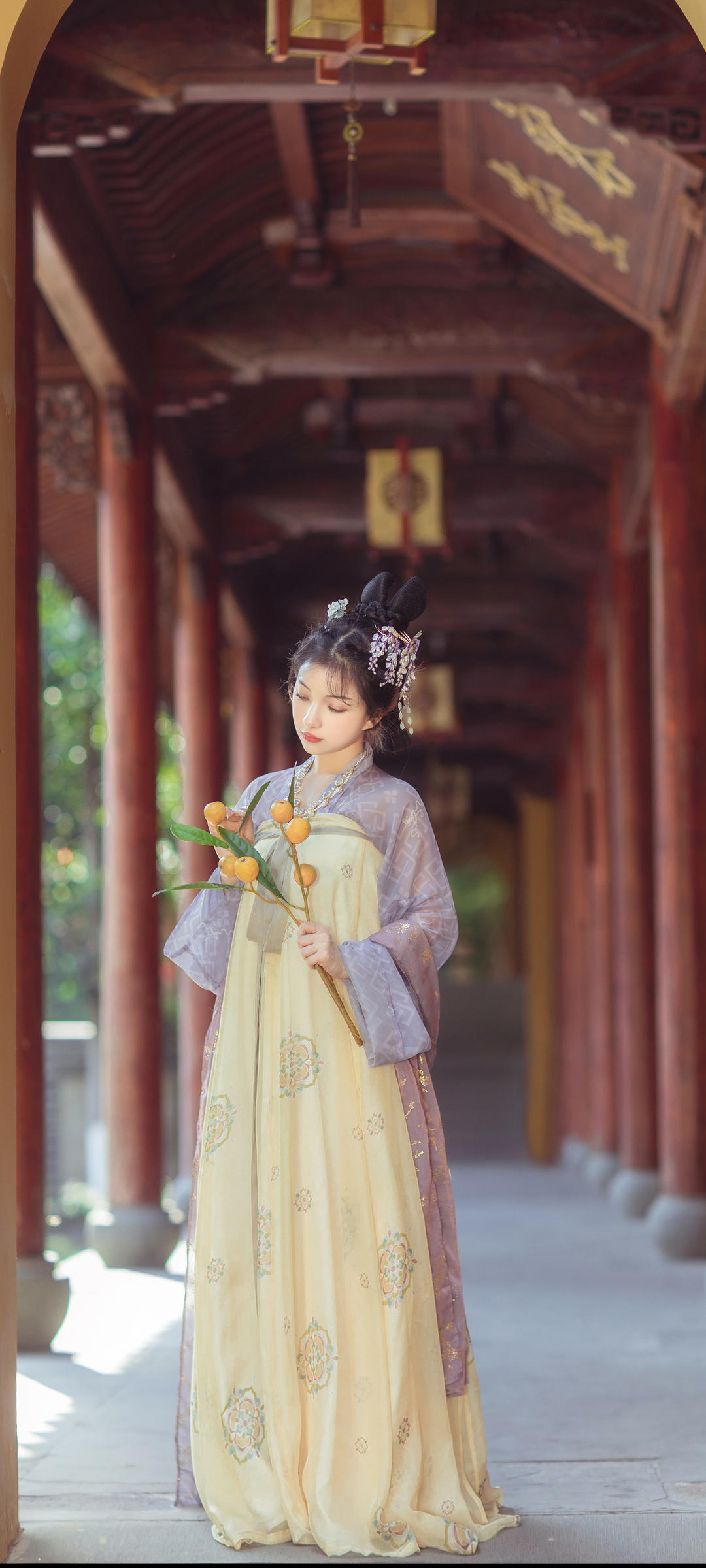 6a61a3e5af0f6.jpg
