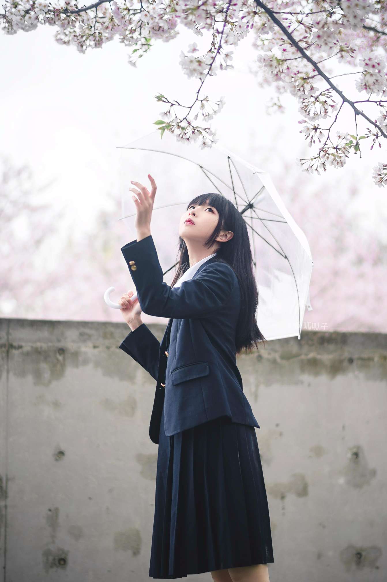 6a61be45624e8.jpg