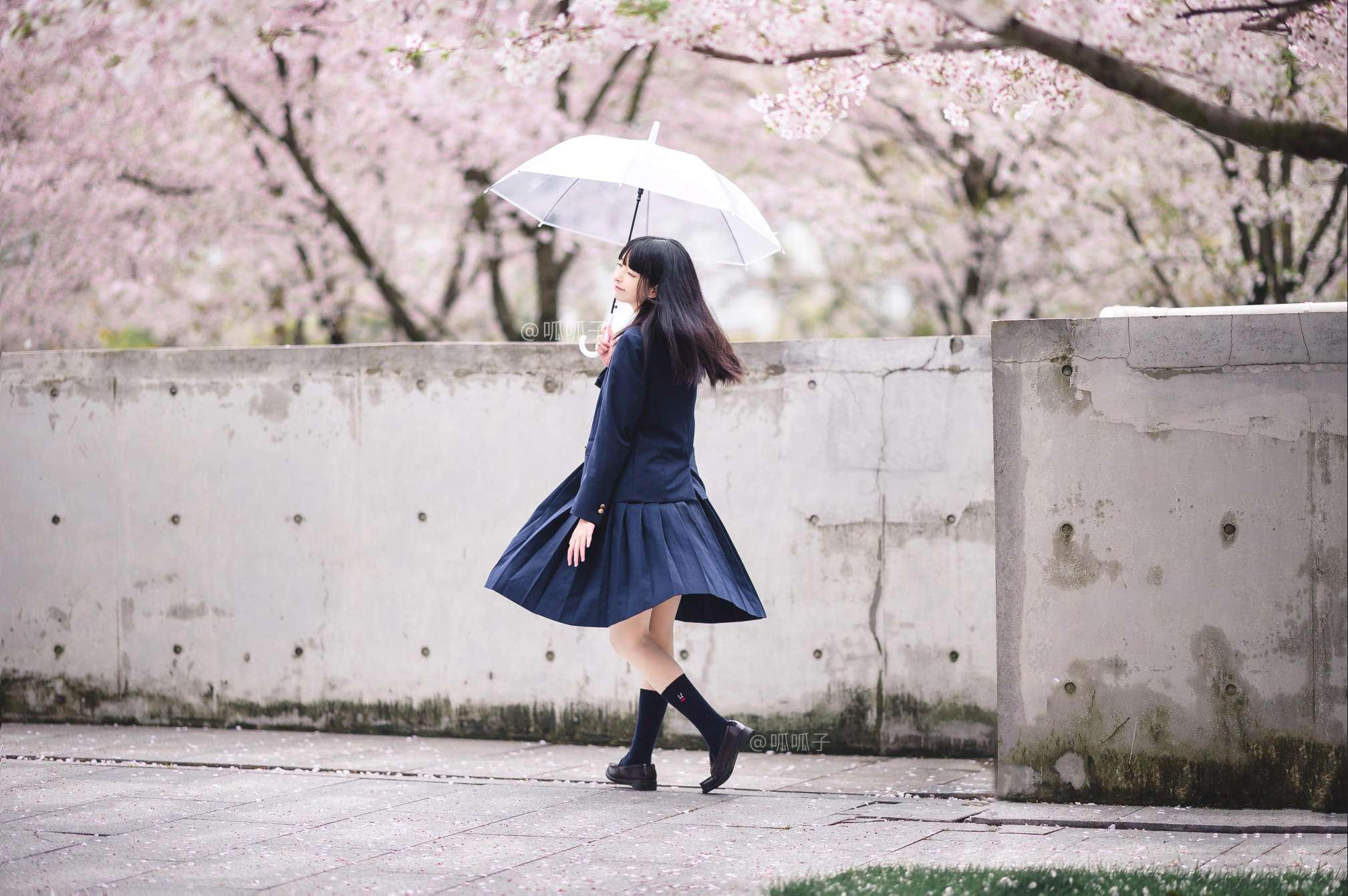 6a61be46c655d.jpg