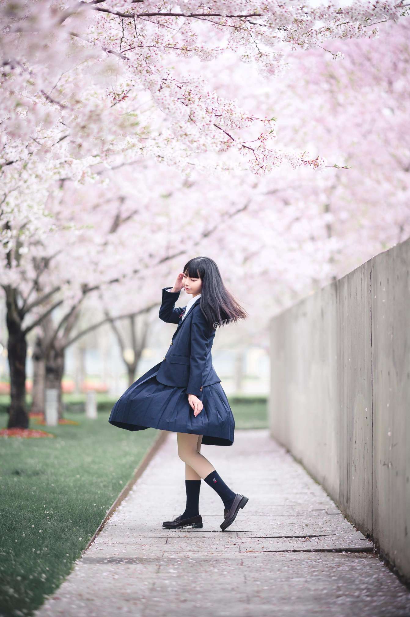 6a61be493959f.jpg