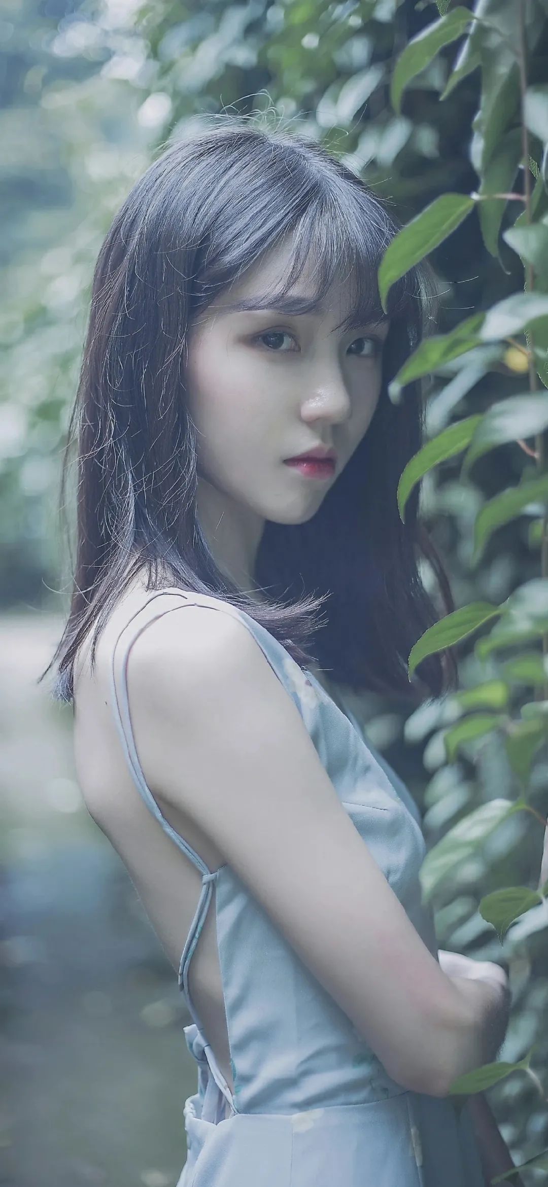 6a61beb3e7325.jpg