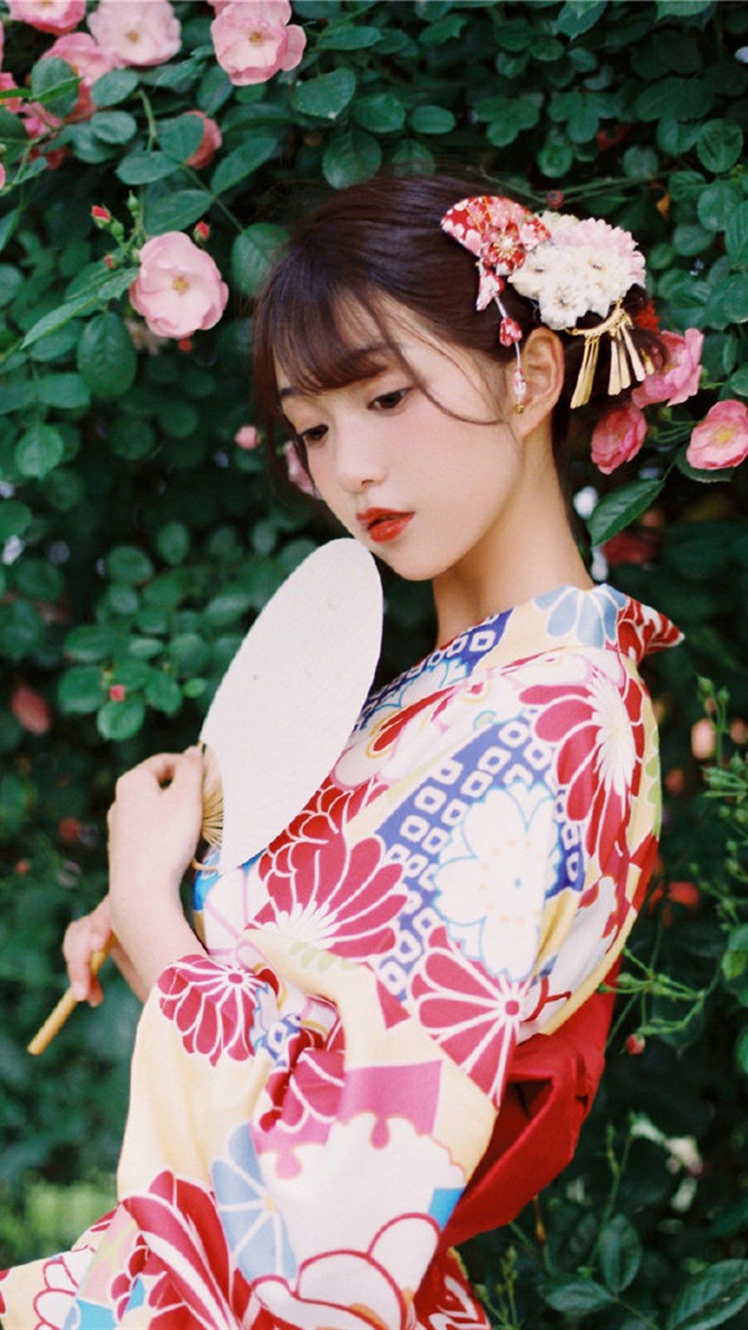 6a61c11c520a5.jpg