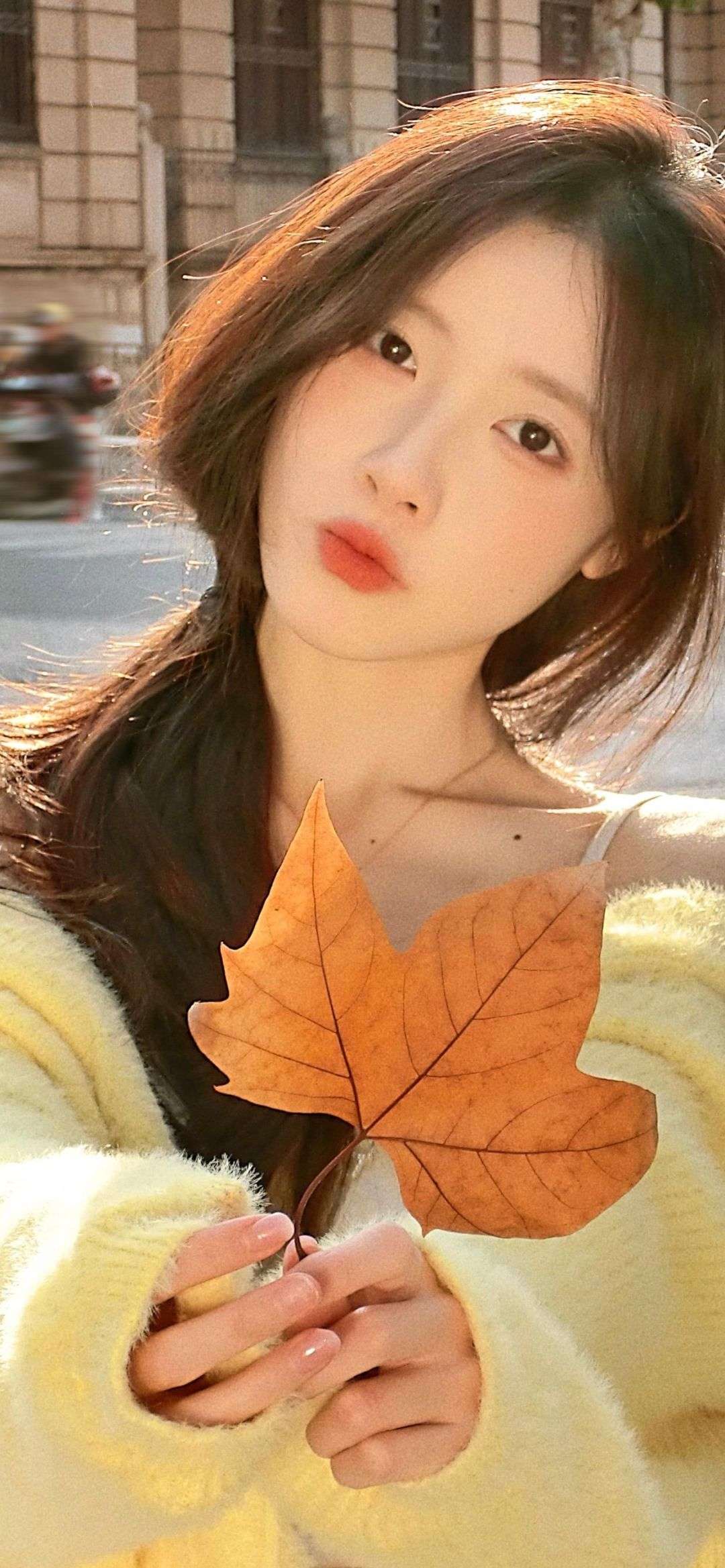 6a61c15fdbd4e.jpg