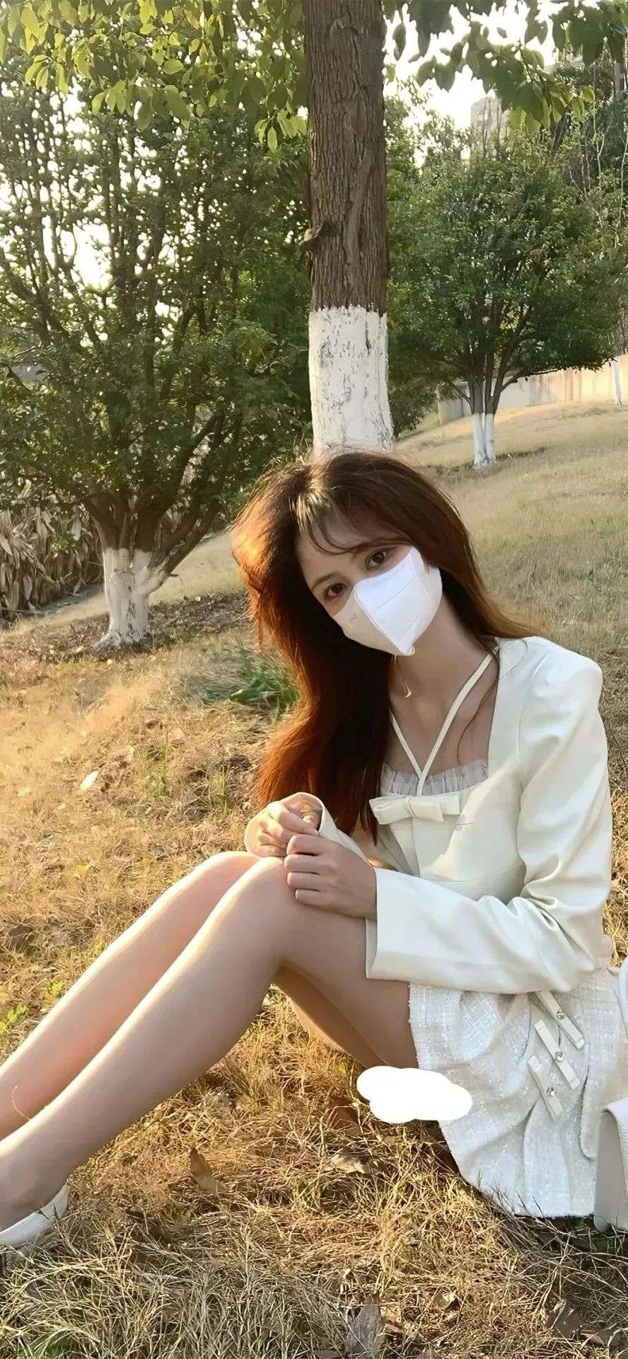 6a61c1c1c8ea6.jpg
