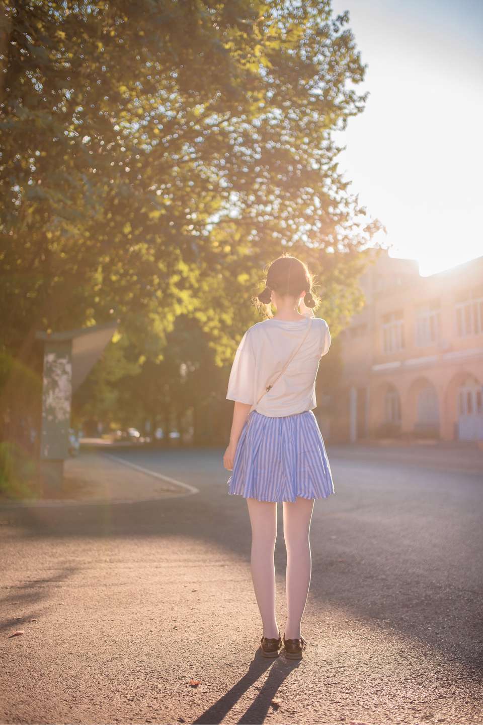 6a61c244ef695.jpg