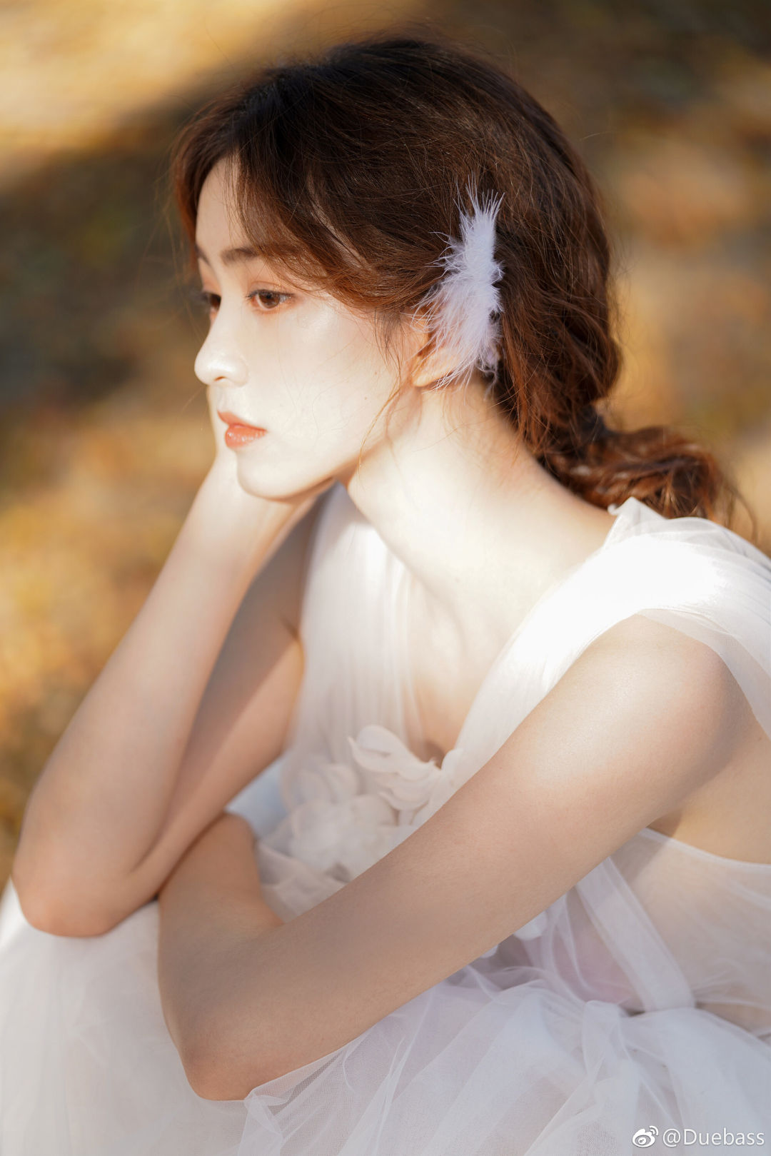 6a61c2de99e60.jpg