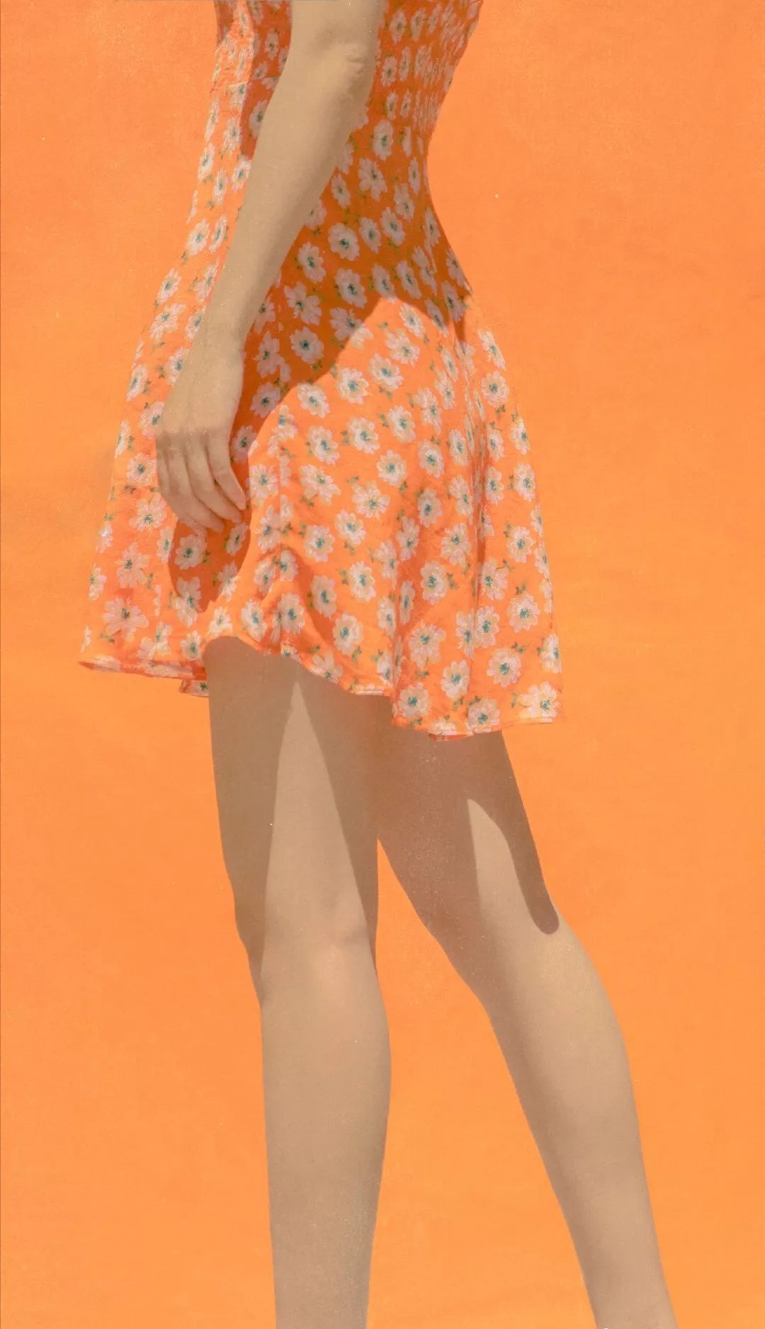 6a61c2f4f12ca.jpg