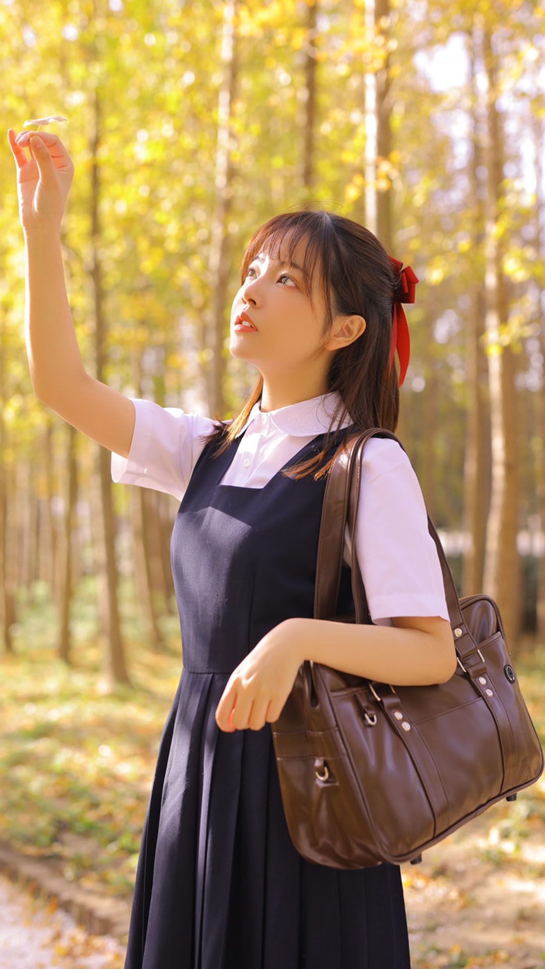 6a61c372a06c0.jpg