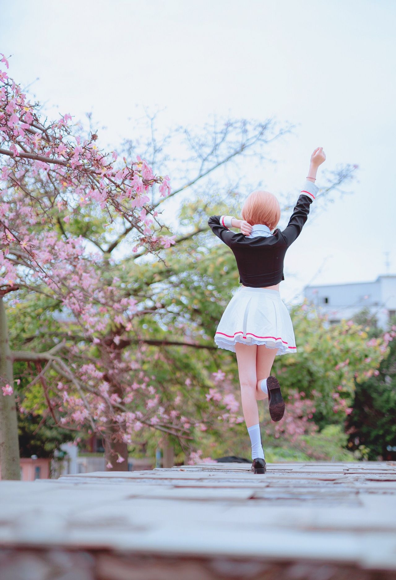 6a61c403ed6b0.jpg