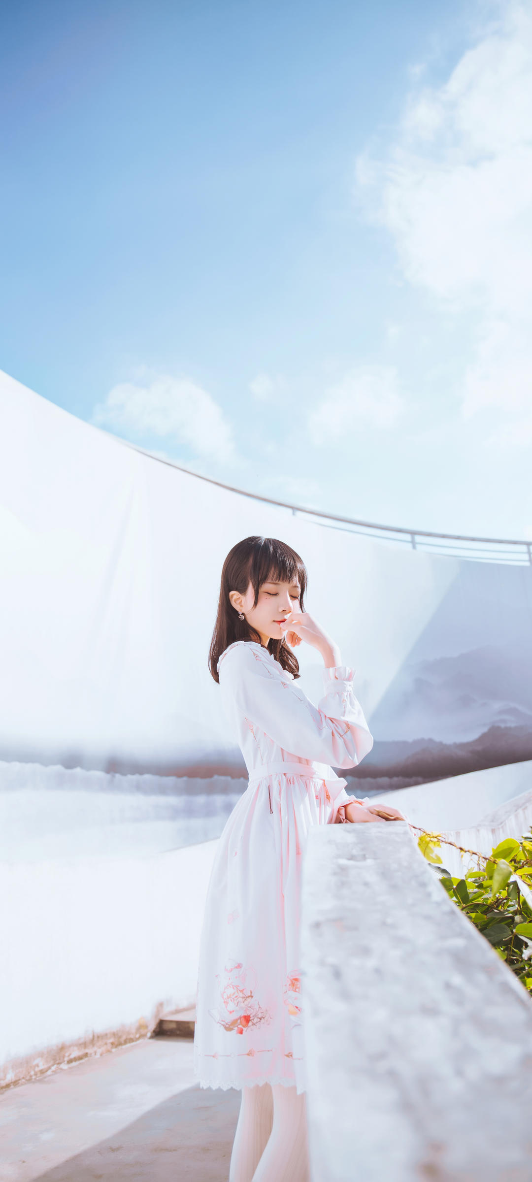 6a61c49500bfe.jpg