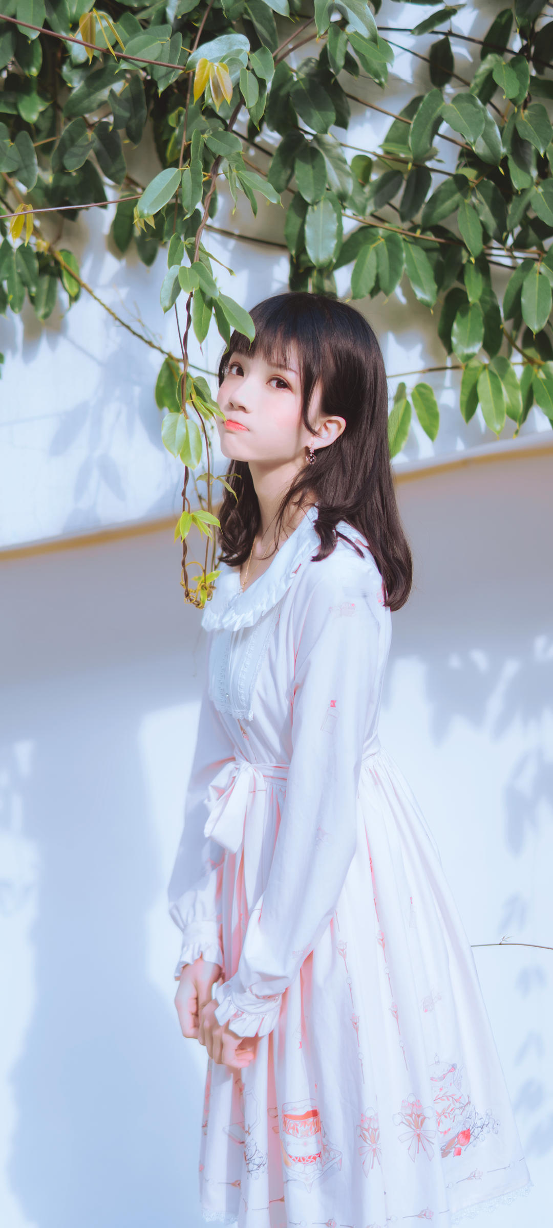 6a61c4966abdd.jpg