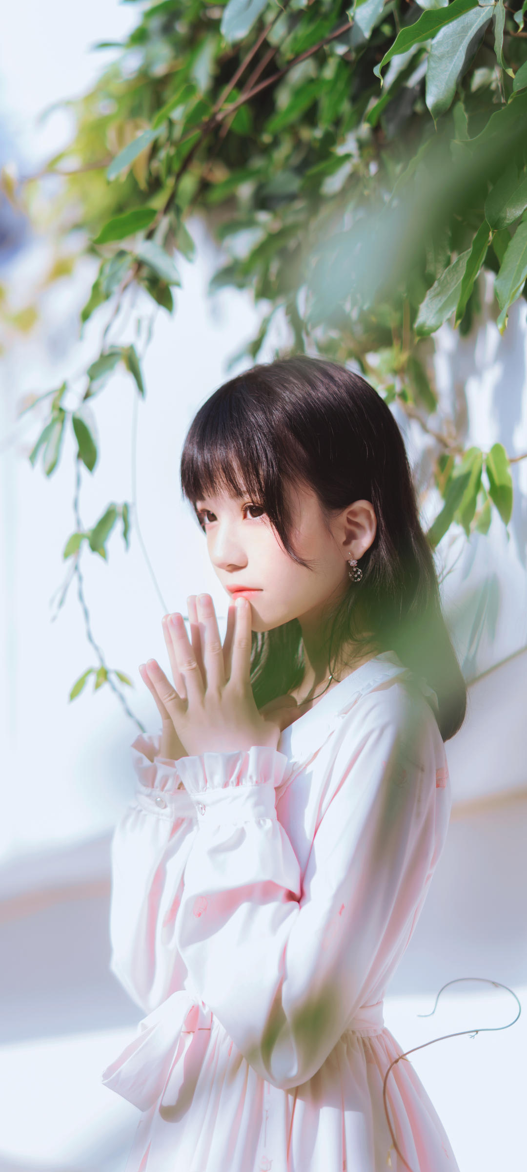 6a61c497d42cd.jpg