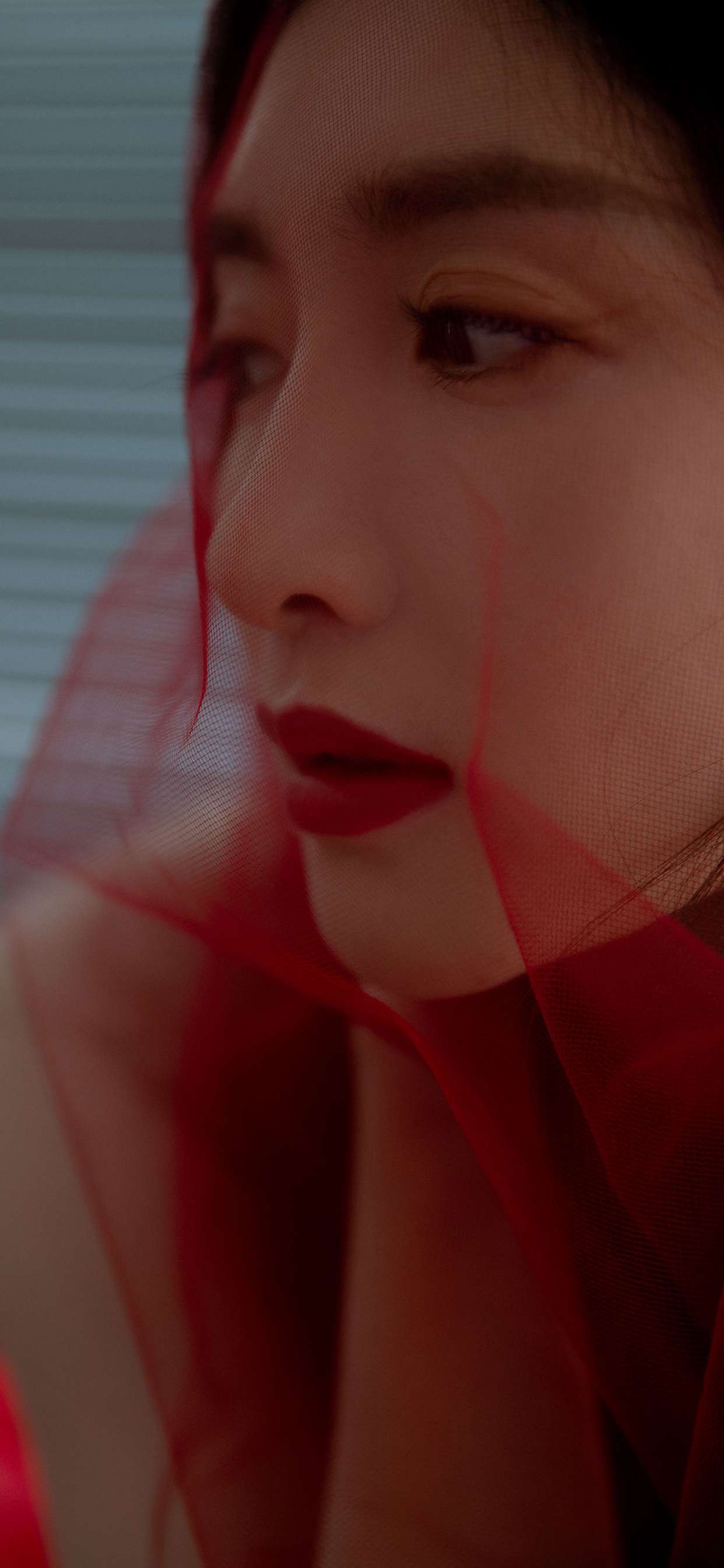 6a61c4c6f0b55.jpg