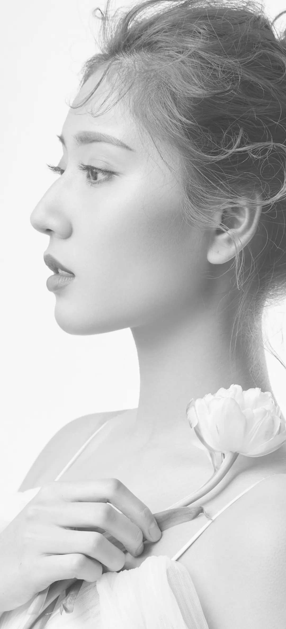 6a61c4f45a92a.jpg