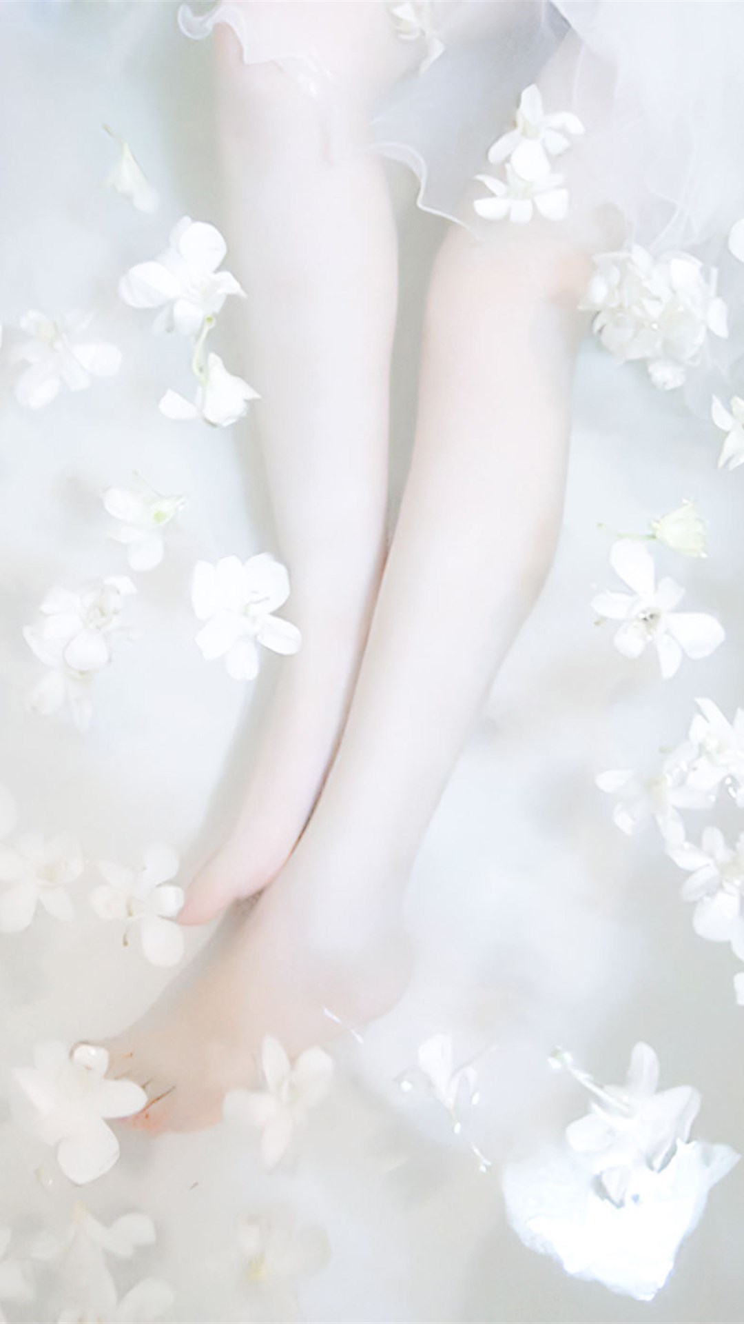 6a61c6c01a90e.jpg