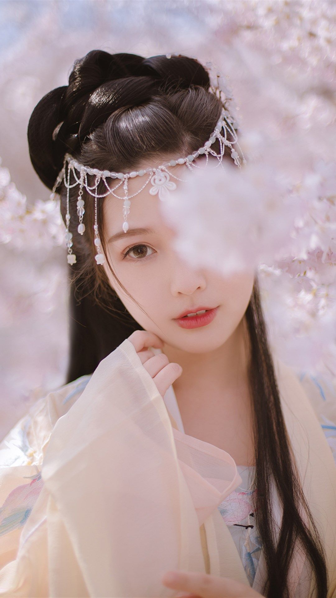 6a61c6d93bdc9.jpg