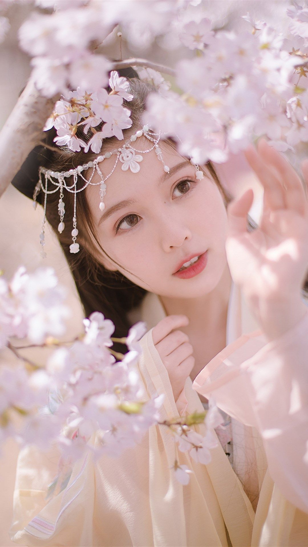 6a61c6db4ca19.jpg