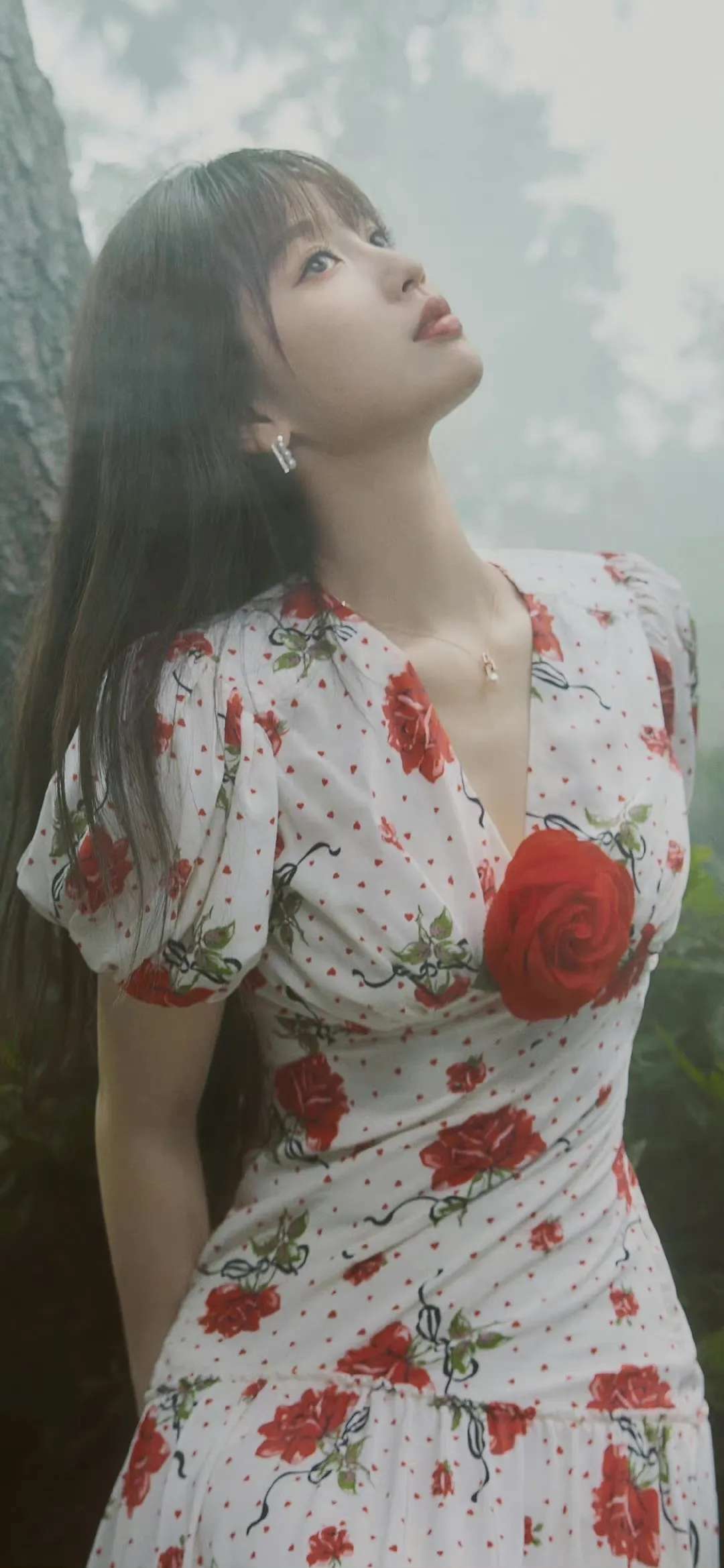 6a61ca3e17b21.jpg