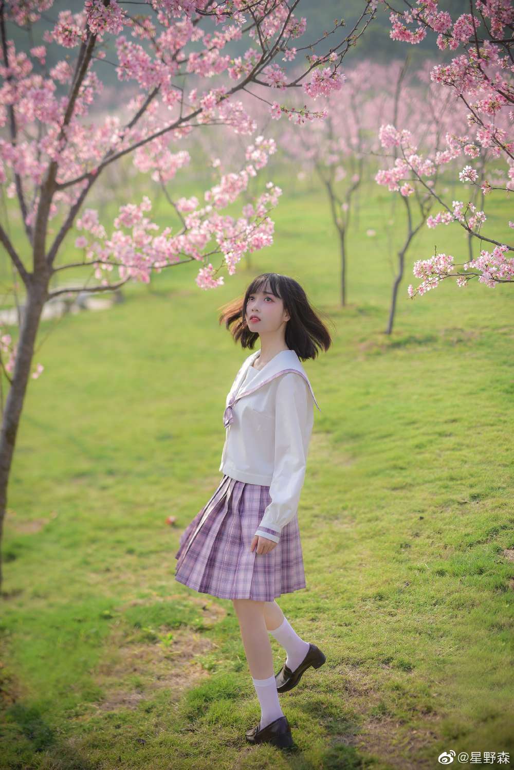 6a61cbcd37dbc.jpg