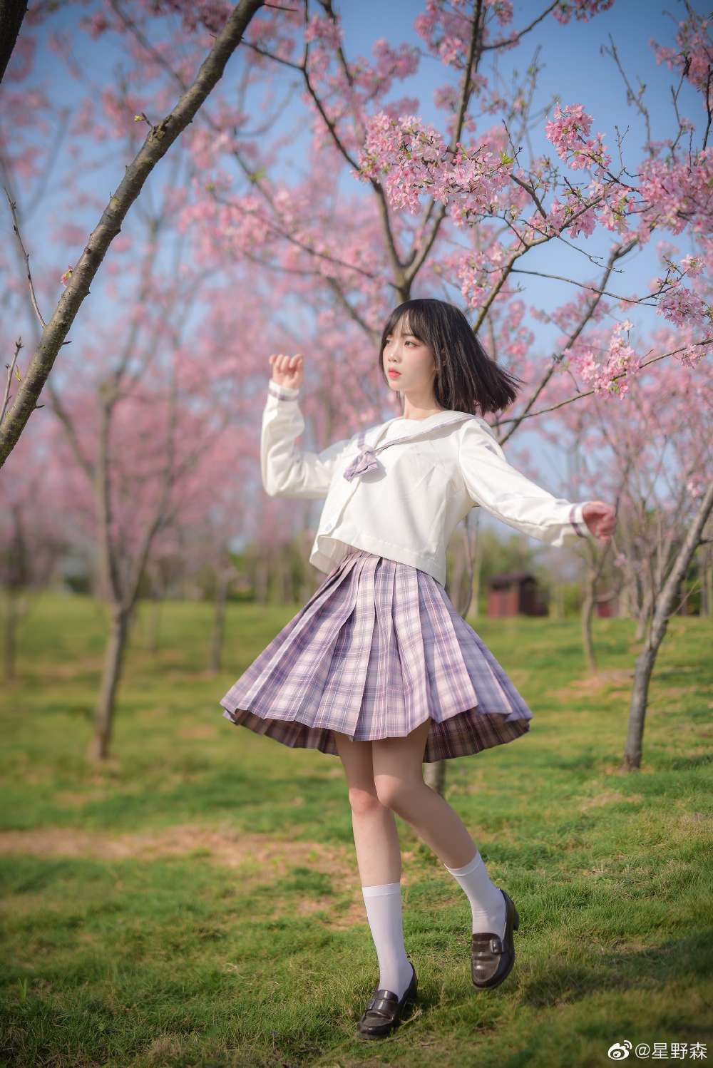 6a61cbce58b7c.jpg