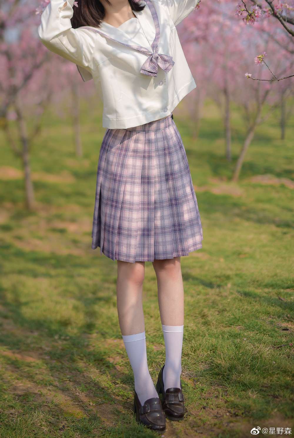 6a61cbcf56a79.jpg