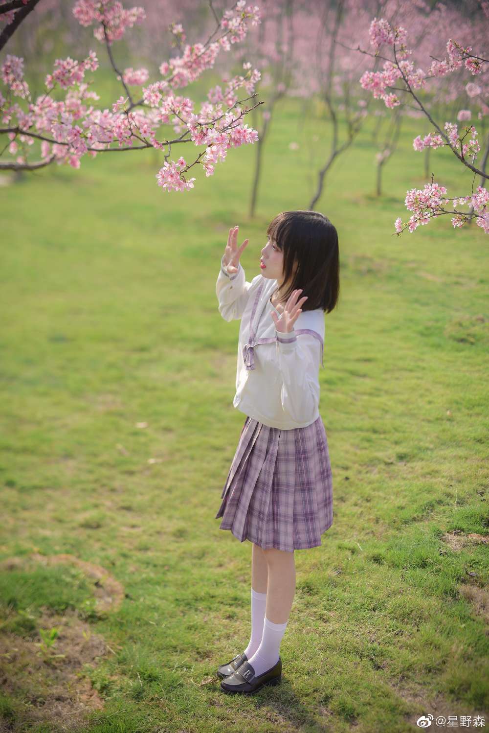 6a61cbd0595a4.jpg