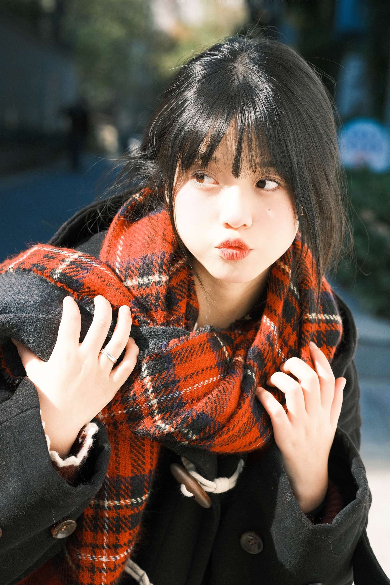 6a61ccf8ebbc9.jpg
