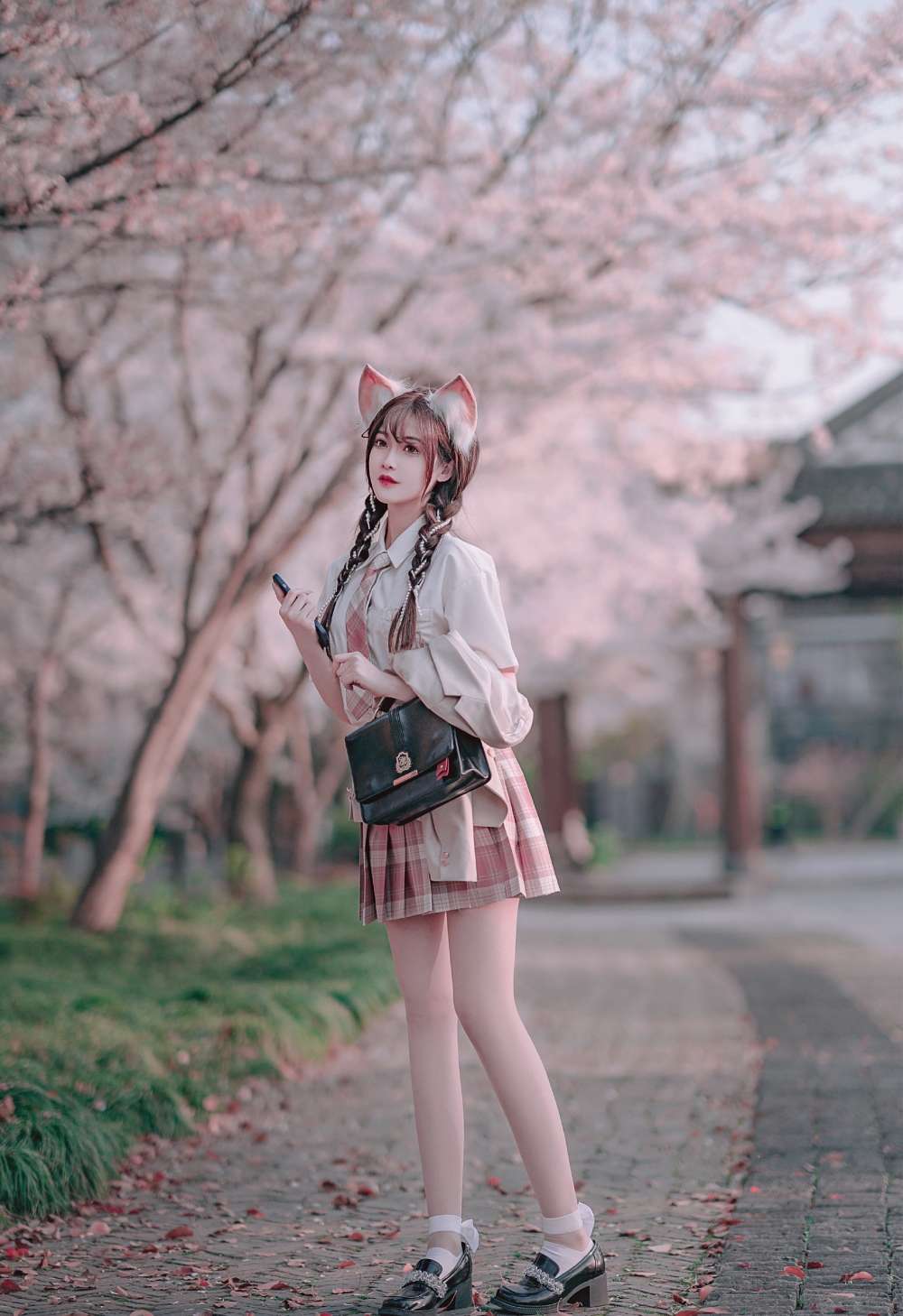 6a61ce82c3e83.jpg
