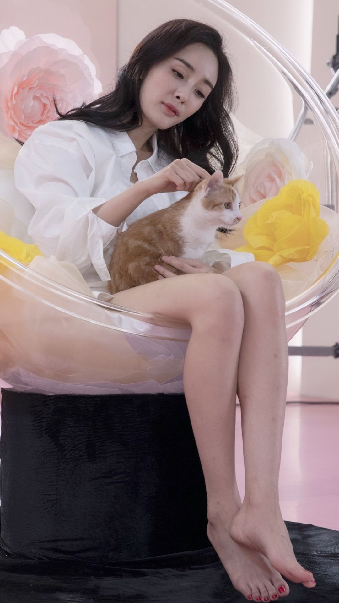 6a61cf7230f95.jpg