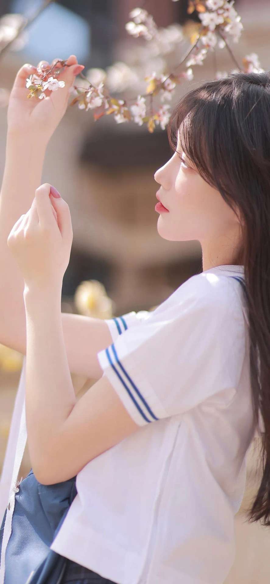 6a61d14c5f983.jpg
