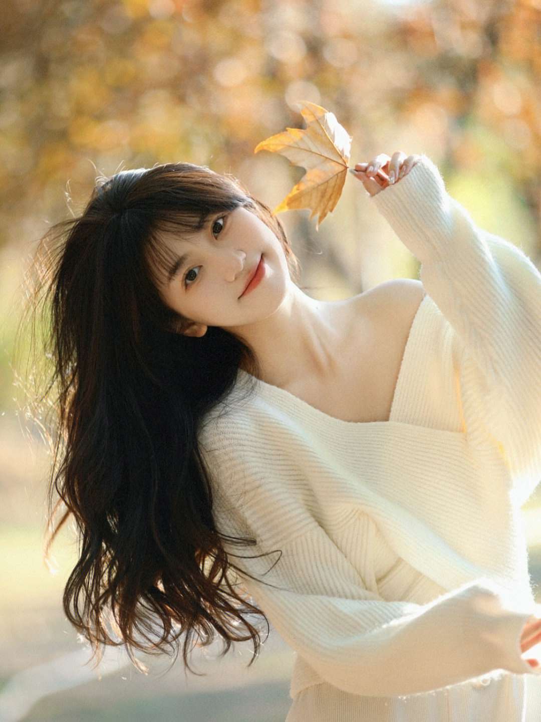 6a61d6bb047cf.jpg