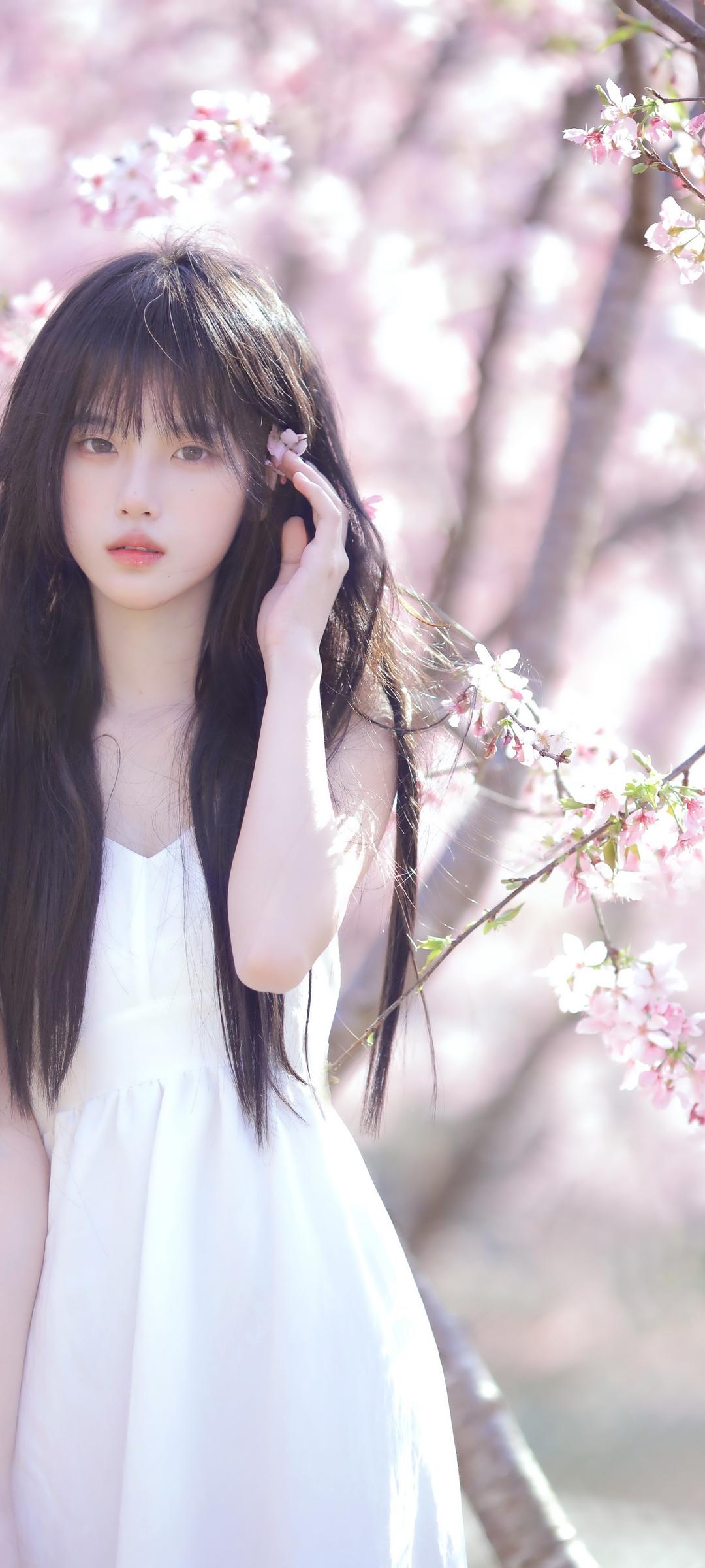 6a61d78435c90.jpg