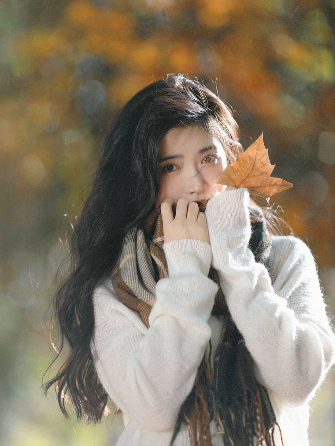 6a61d91db8bf9.jpg