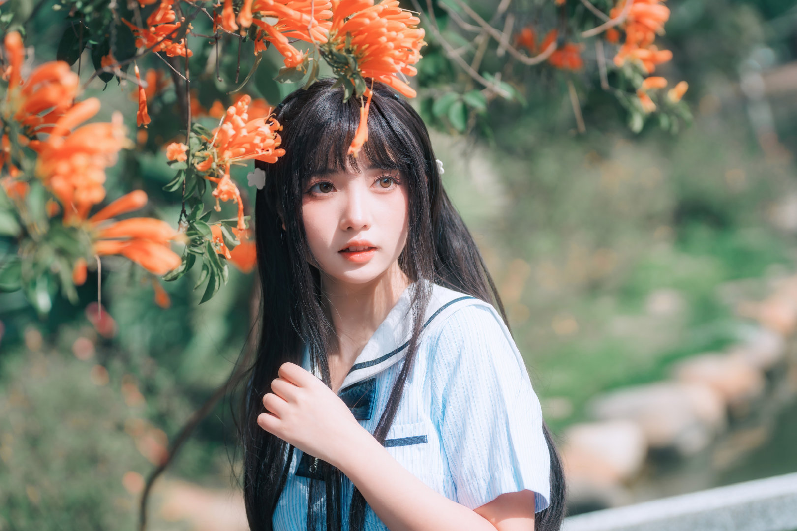 6a61d93513b4d.jpg