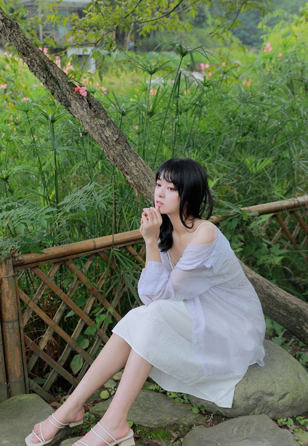 6a61d9d591ed3.jpg