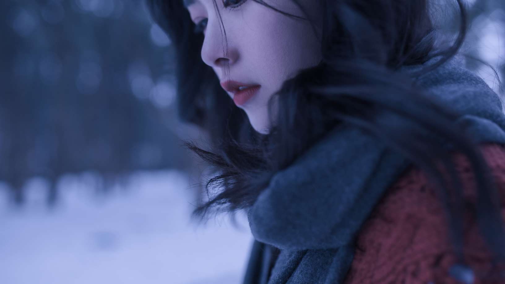 6a61dbb45d330.jpg