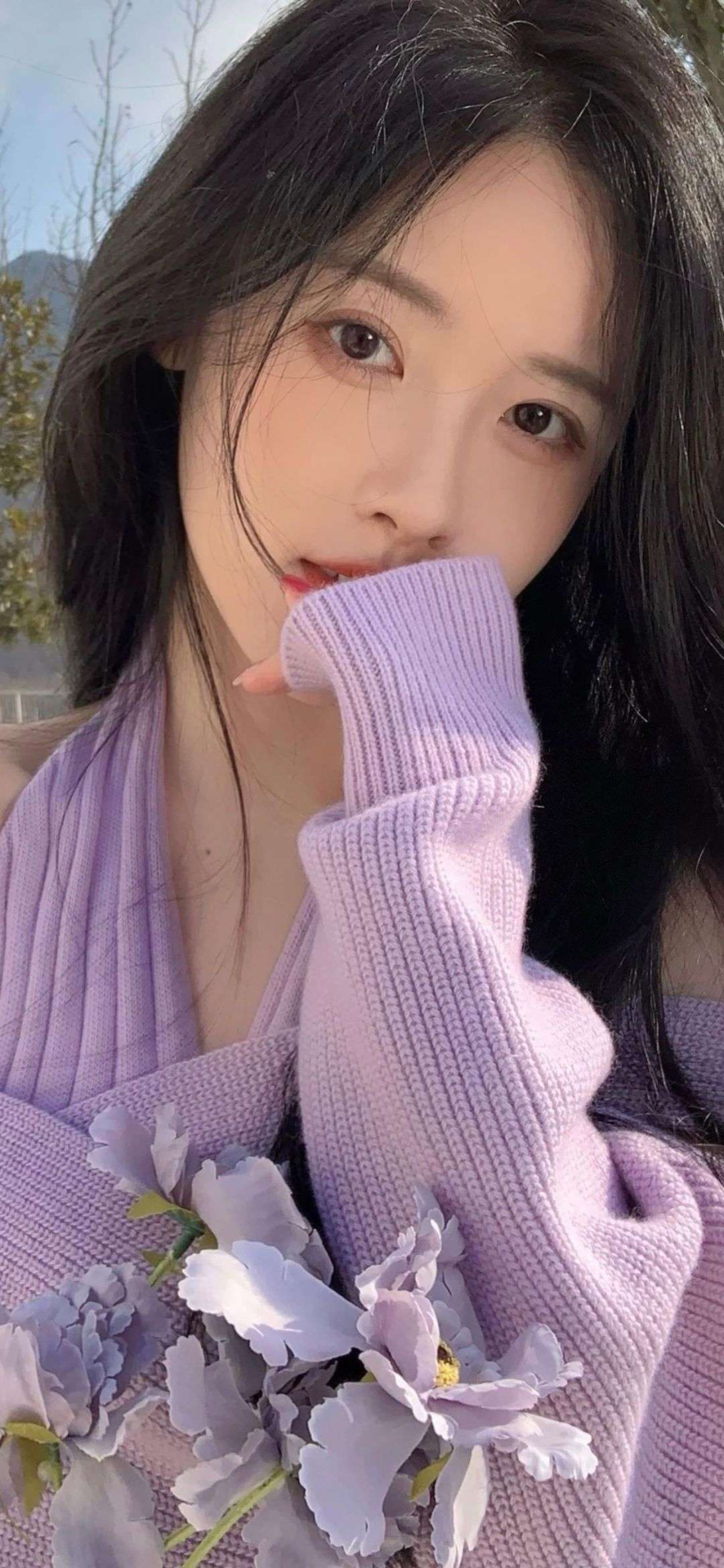 6a61dbb52b054.jpg