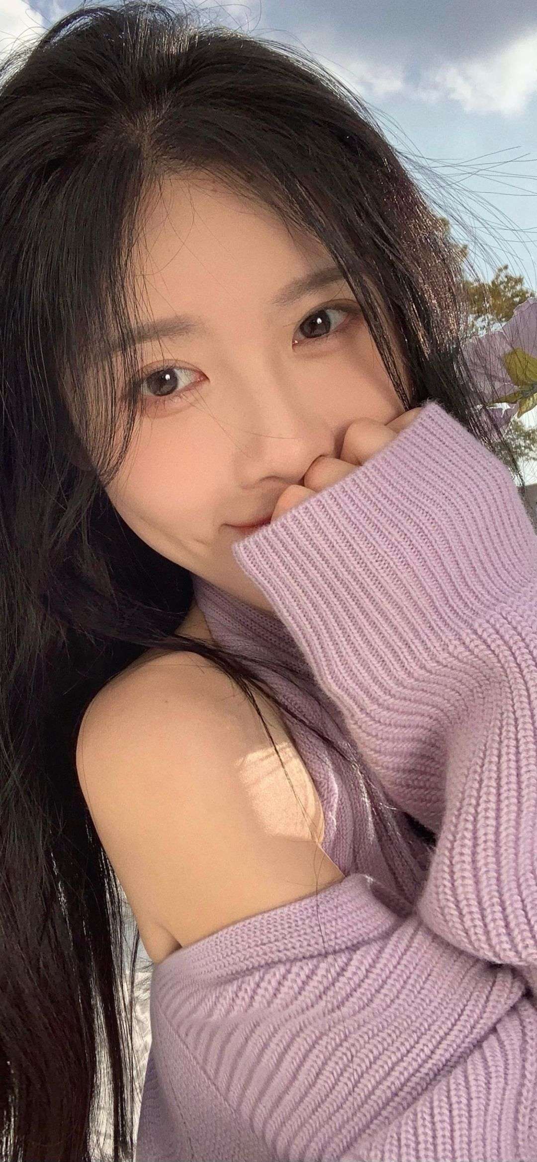 6a61dbbb31fbd.jpg
