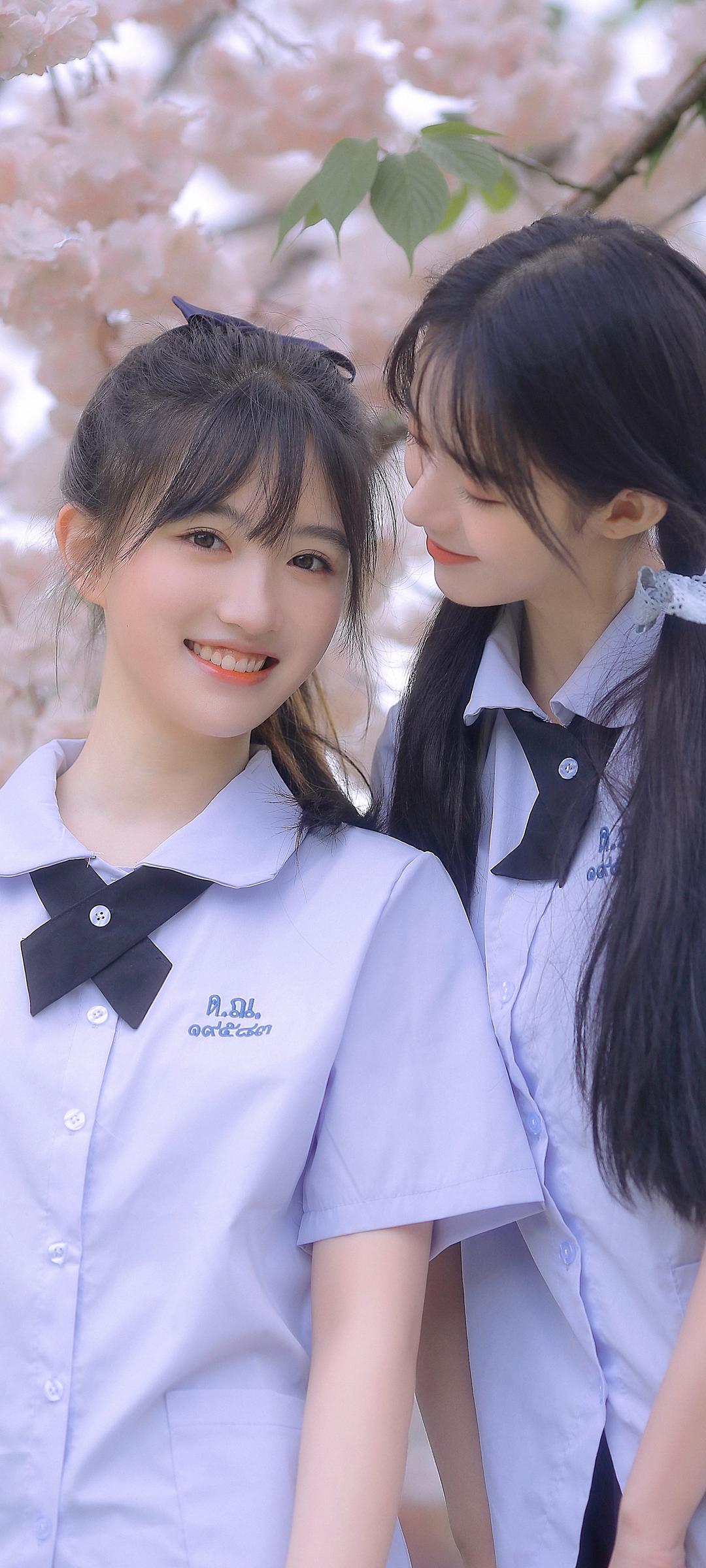 6a61de8f6687e.jpg