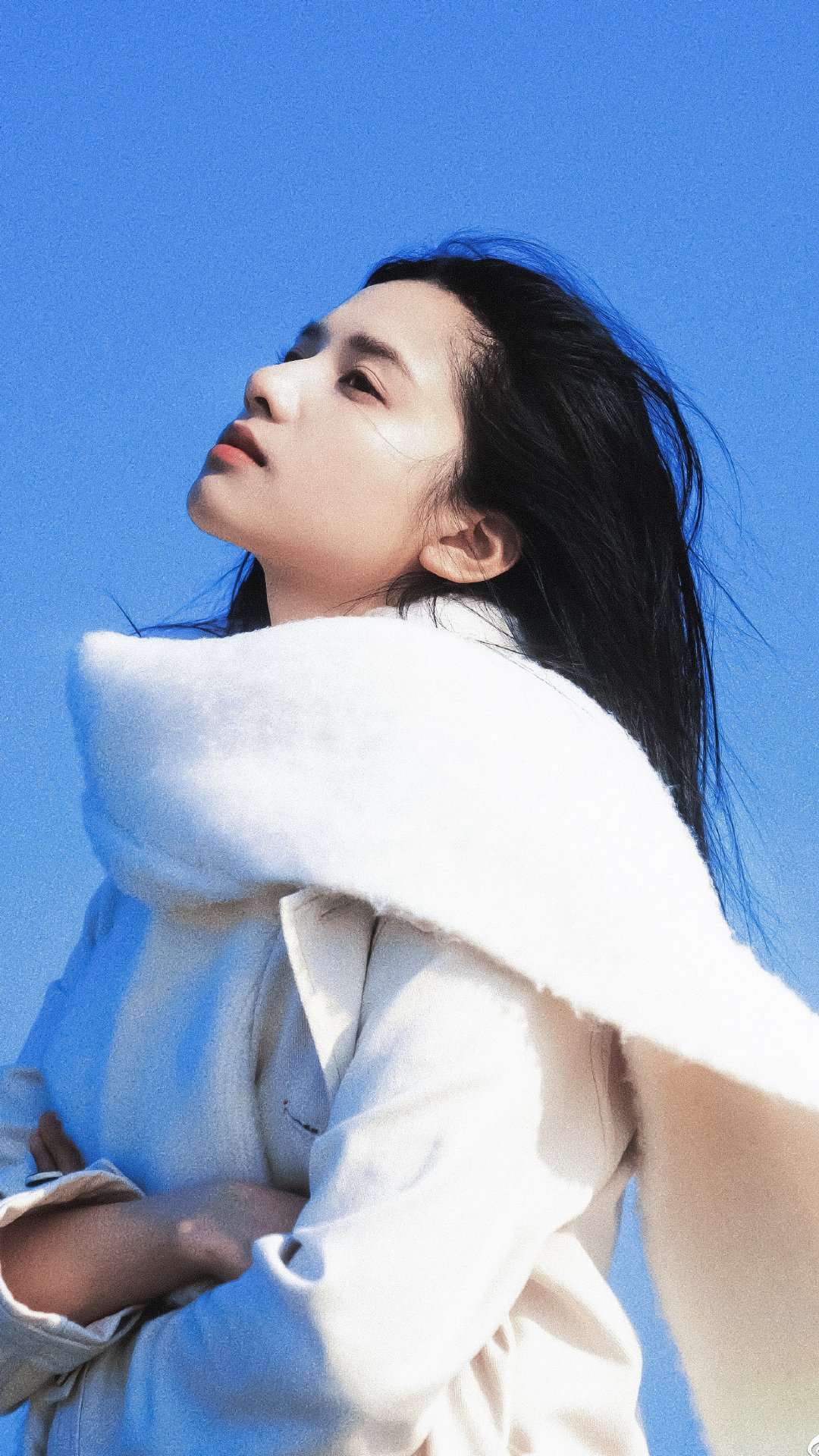 6a61defeb6c19.jpg