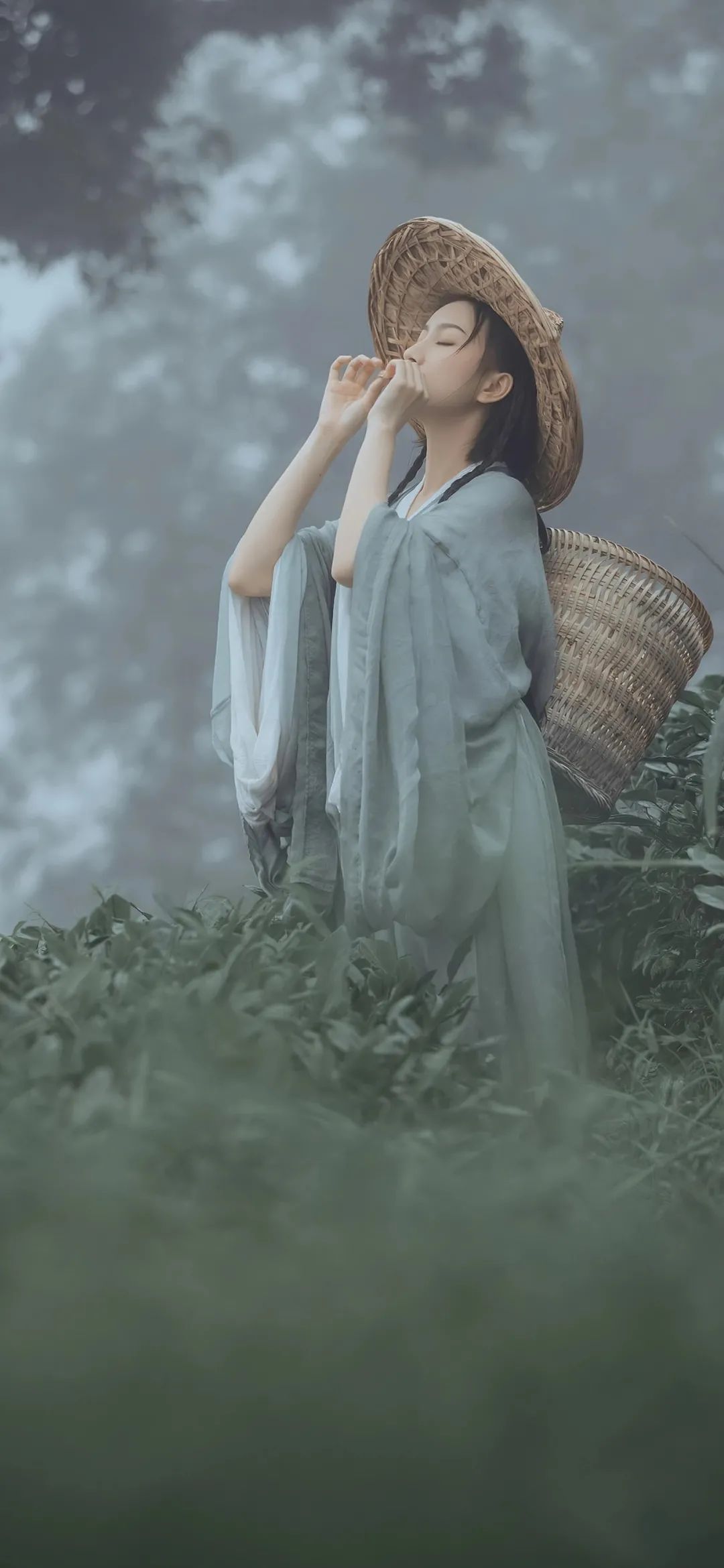 6a61df2d583b0.jpg