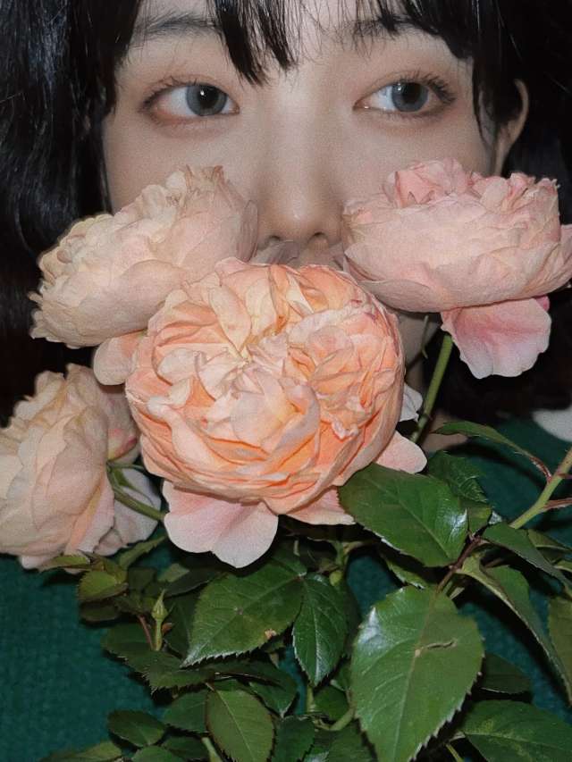 6a61e03a64d43.jpg