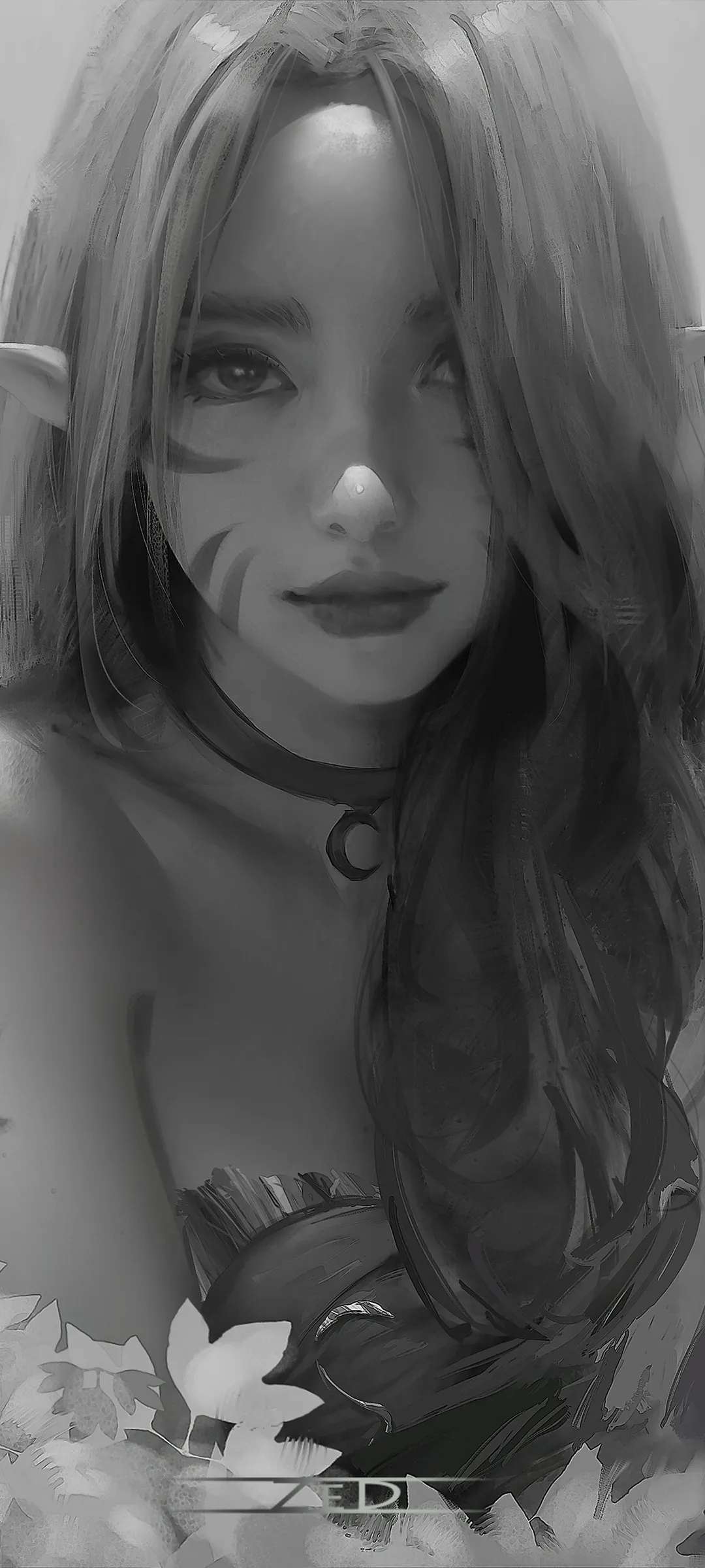 6a61e272646ff.jpg