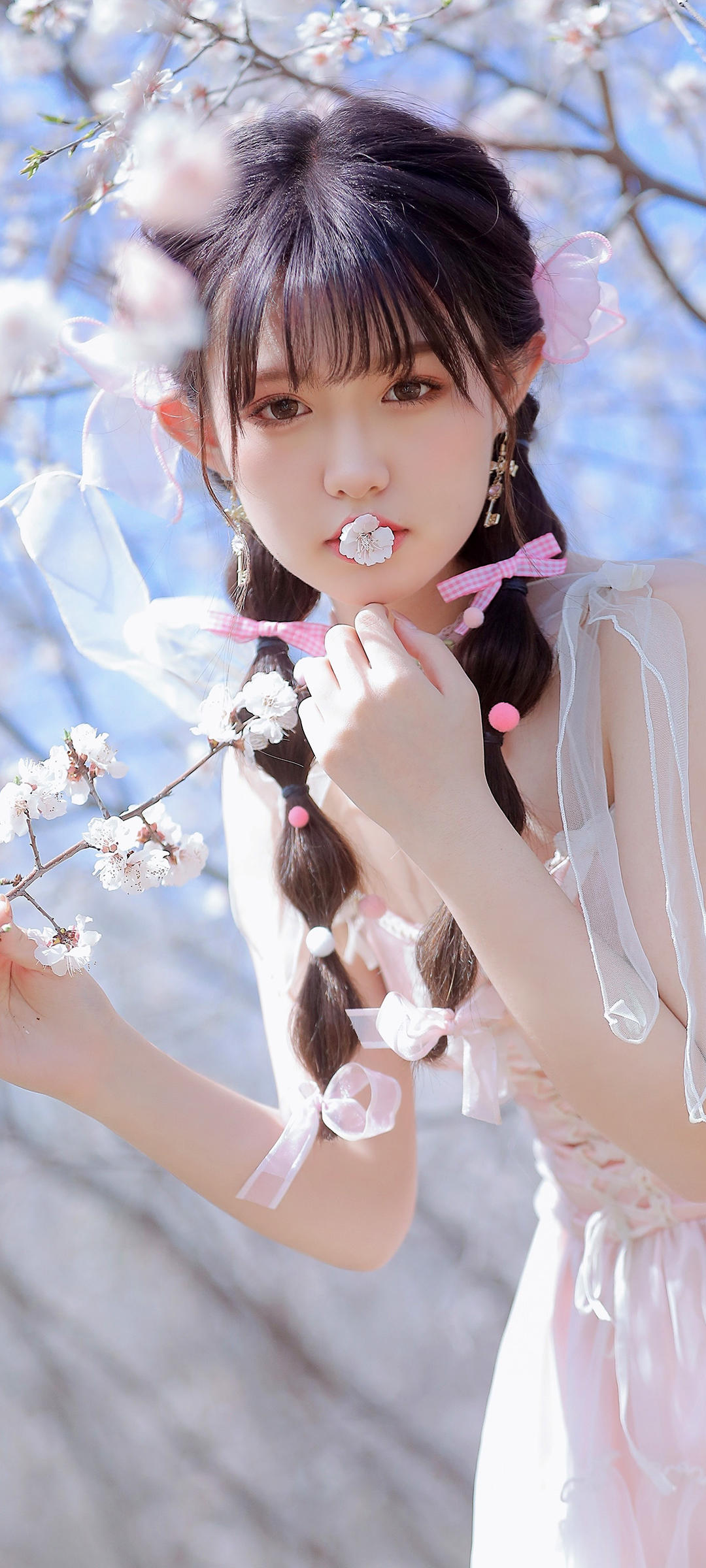 6a61e29a75658.jpg