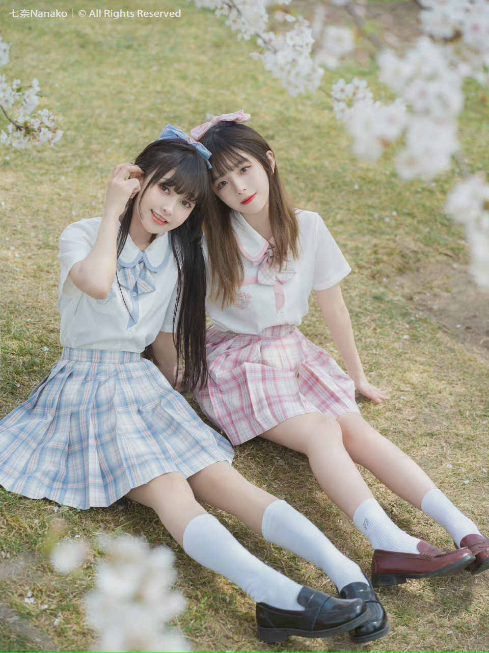 6a61e6abd9d62.jpg