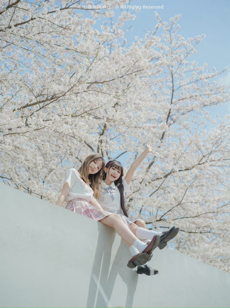 6a61e6acb248d.jpg