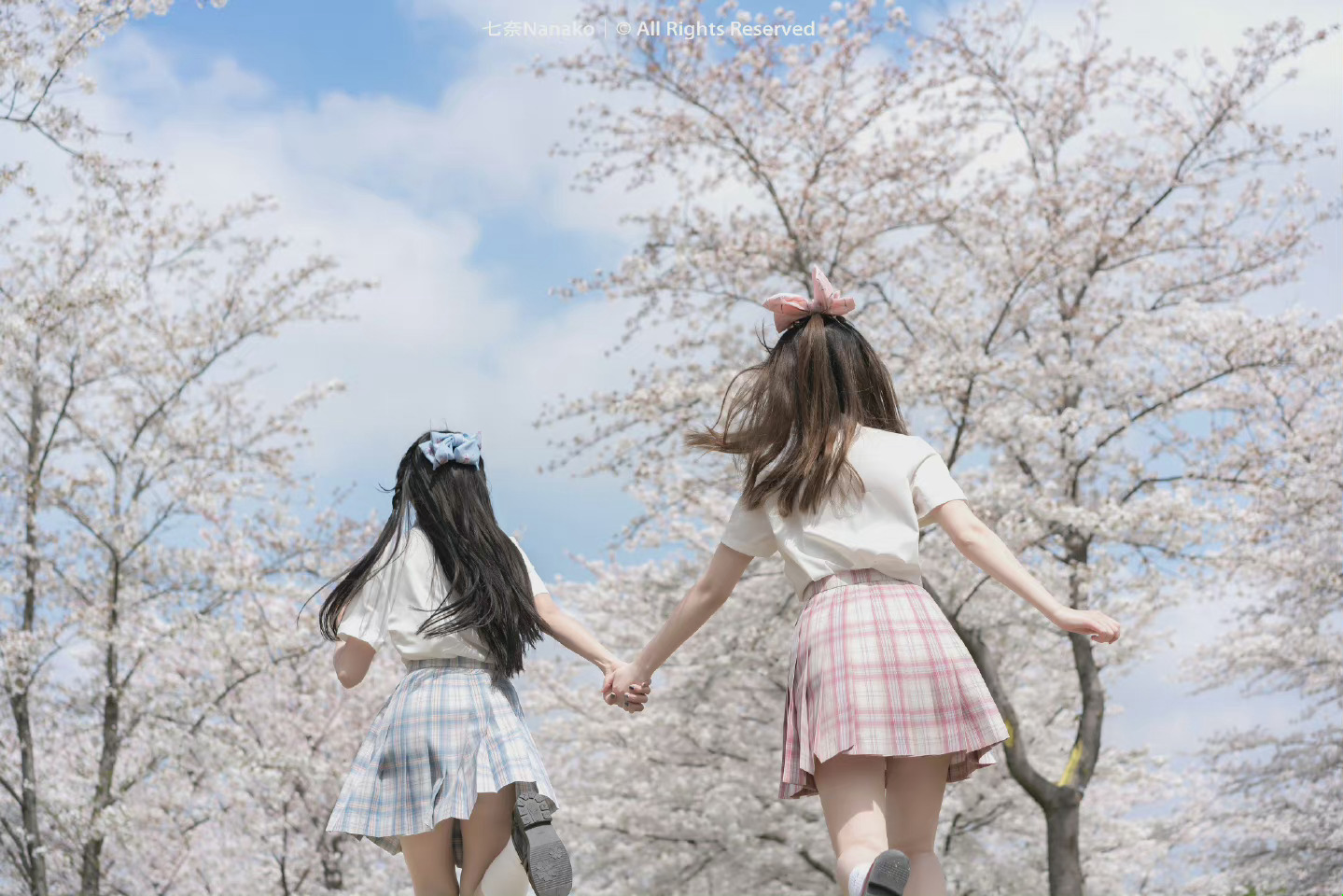 6a61e6ae494a2.jpg