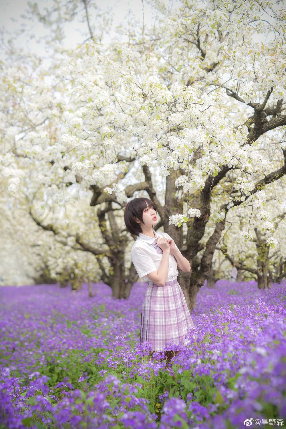 6a62bbca282a4.jpg